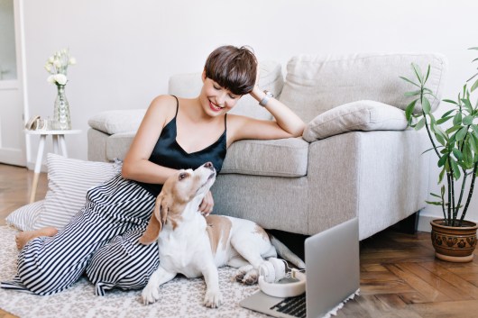 Finding the Best Affordable Pet Supply Stores Near You